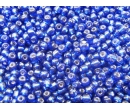 Seed beads EG4-SL